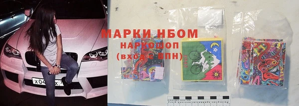 шишки Медногорск
