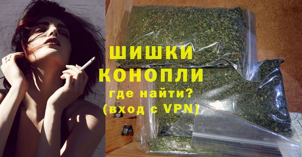 шишки Медногорск