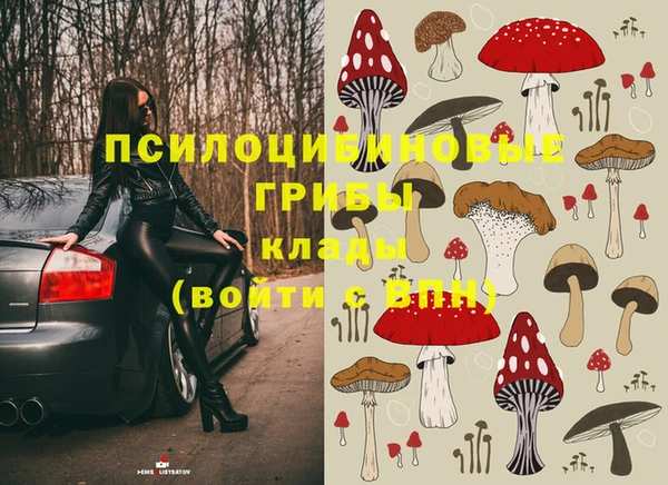 шишки Медногорск