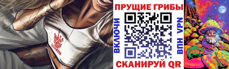 Галлюциногенные грибы прущие грибы  Павловск 